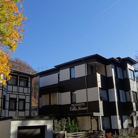 Pension Villa Irene Bad Harzburg Kültér fotó